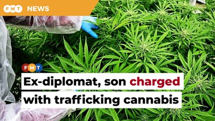 Ex-diplomat, son charged with trafficking cannabis