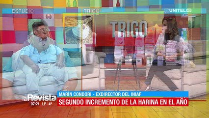 Alza del trigo y harina afectará al consumidor