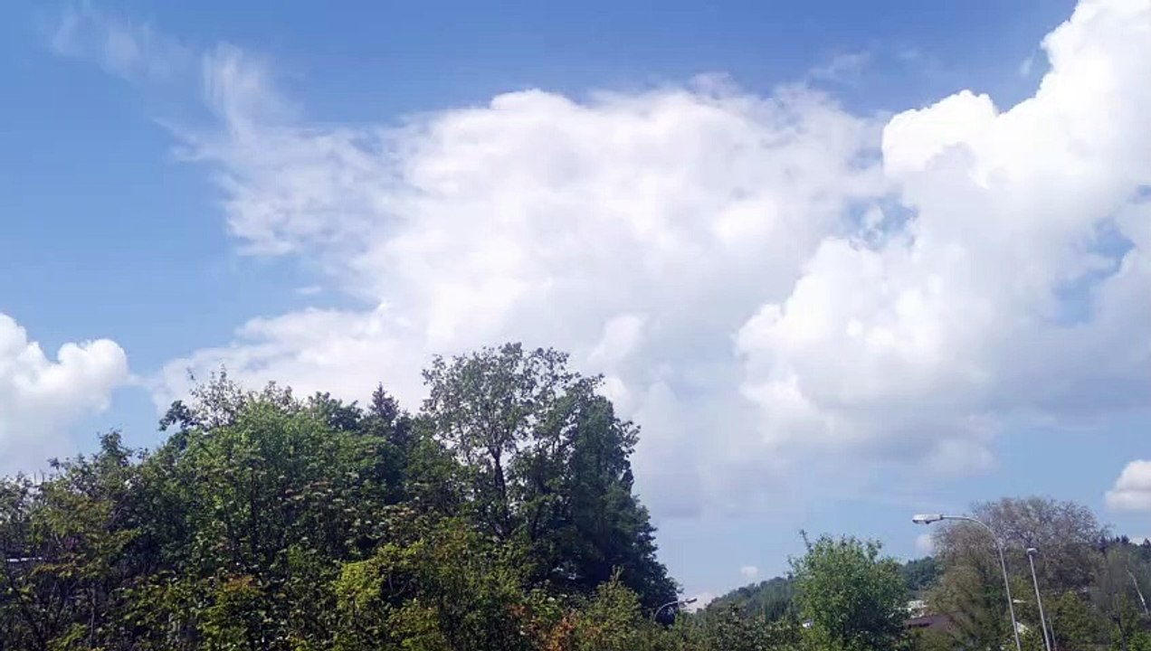 VID_20220504_120650