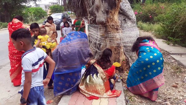 पति की लंबी आयु के लिए वट वृक्ष को पूजा