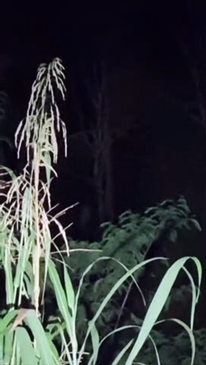 Paranormal activity ghost on camera part 136
