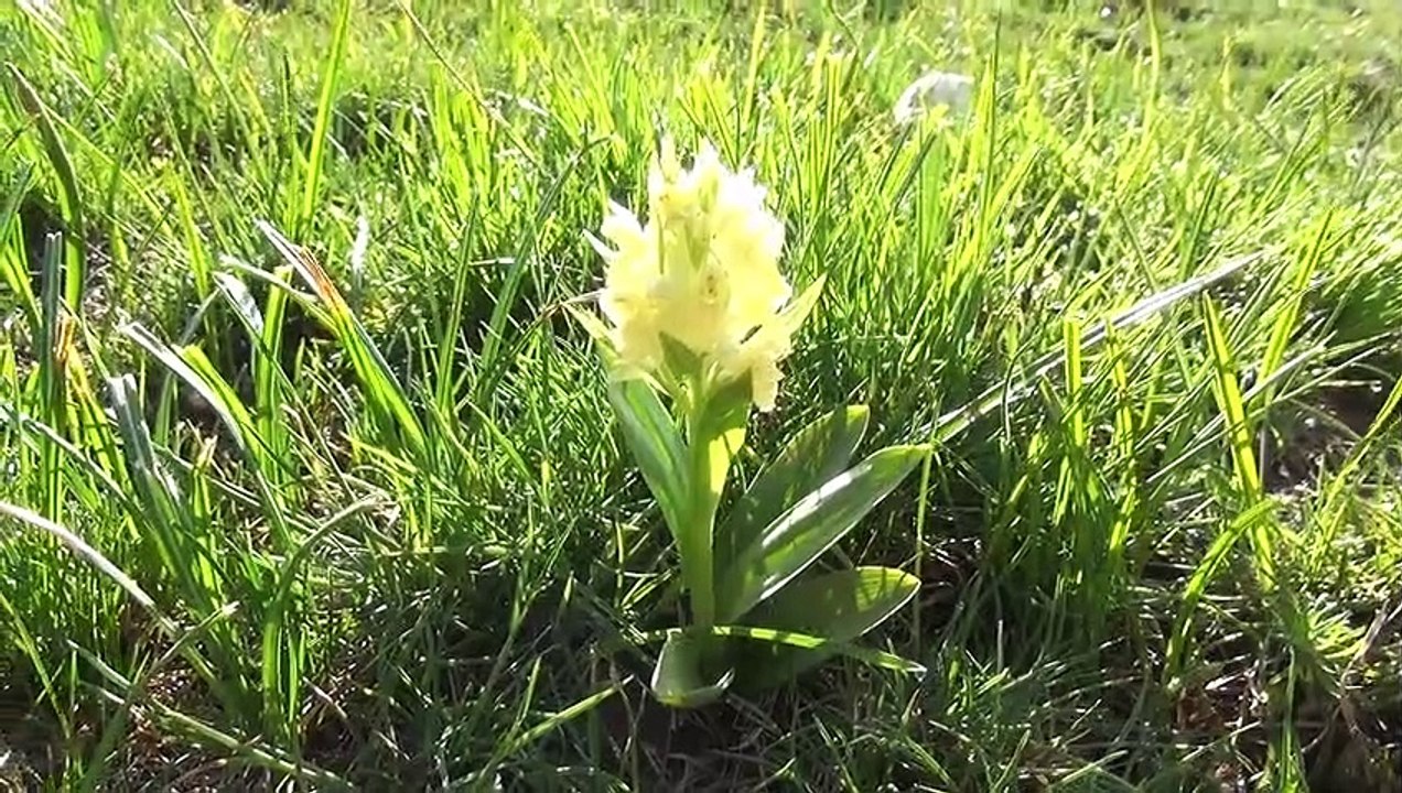 Chartreuse mythique, la Dent de Crolles par le trou du Glas