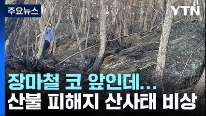 장마철 코 앞인데...산불 피해지 산사태 비상 / YTN
