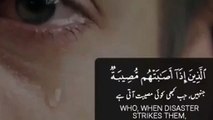 quran urdu whatsapp status _ urdu whatsapp status _ urdu islamic whatsapp status (4)