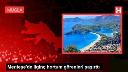 Menteşe'de ilginç hortum görenleri şaşırttı