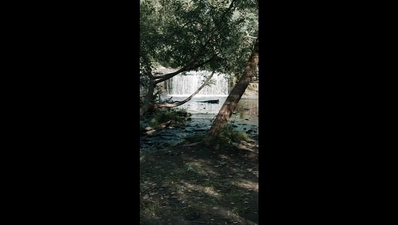 29. VÍDOS PARA ABRIR CAMINOS- KIKO TAROT- MEDITACIONES ‐
