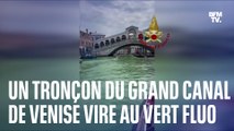 Un tronçon du Grand Canal de Venise vire au vert fluo