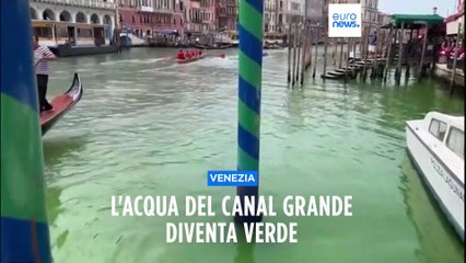 Canal Grande fluo, ancora da chiarire il perchè dell'acqua verde sotto al ponte di Rialto