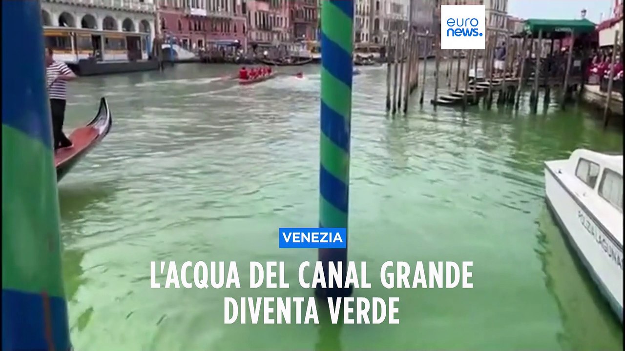 Canal Grande fluo, ancora da chiarire il perchè dell'acqua verde sotto al ponte di Rialto