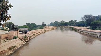 इंदिरा गांधी नहर में कल छोड़ेंगे पानी, एक सप्ताह की ओर पेयजल परेशानी