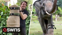 Rescued elephant fitted with a prosthetic foot so he is able to walk again.