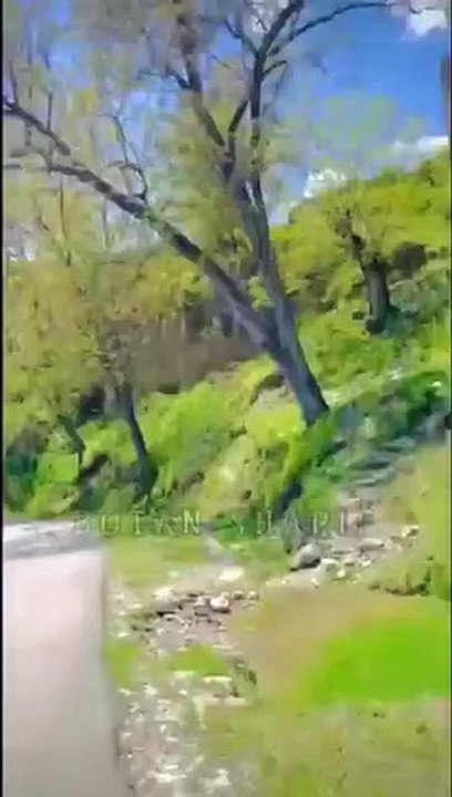 اسلامی ویڈیو