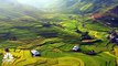 فيتنام تسعى لخفض صادرات الأرز السنوية 44% بحلول 2030