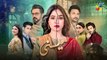 Meesni - Mega Episode 99 - PART 01 ( Bilal Qureshi, Mamia, Faiza Gilani ) 29th May 2023 - HUM TV