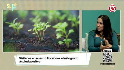 Alimentación consciente