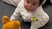 Baby Playing With Toy | Babies Funny Moments | Cute Babies | Naughty Babies | Funny Babies #babies