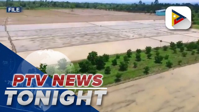 DA projects over 234K hectares of farmland to be damaged if Typhoon #BettyPH hits PH