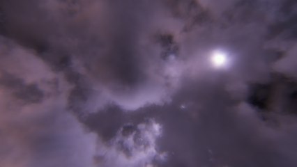 Beatrix Weapons - Cuddle (Visualizer)