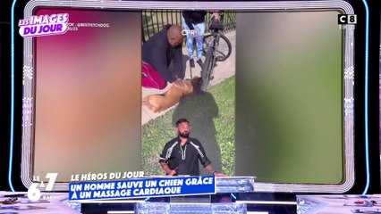 Un homme sauve un chien grâce à un massage cardiaque !