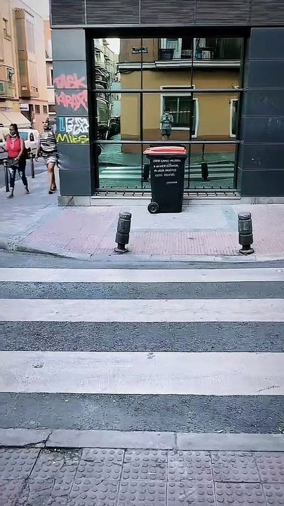 V A N E S S A  MARICRÓNICA