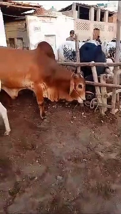 Bahut Khubsurat gay