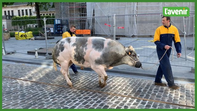 Foire agricole de Nivelles