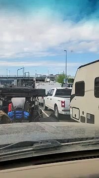 Observation de Megasaurus au terminal BC Ferries