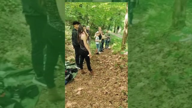 Manger perché à Marche-les-Dames : les arbres de la table