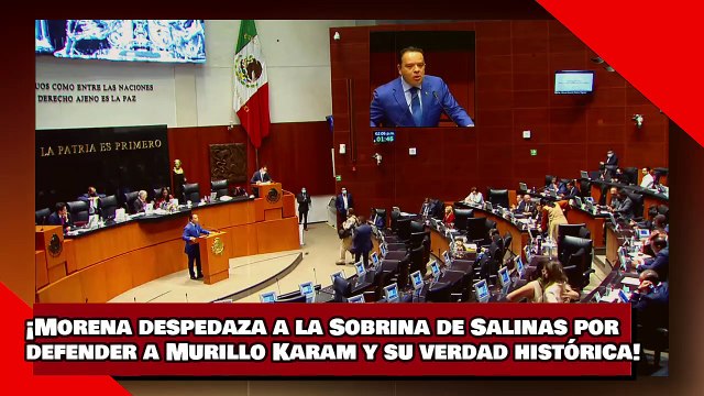¡VEAN! ¡Morena despedaza a la Sobrina de Salinas por defender a Murillo Karam y su verdad histórica!