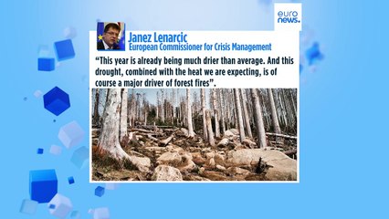 The EU to double its firefighting capacity ahead of 'intense' summer