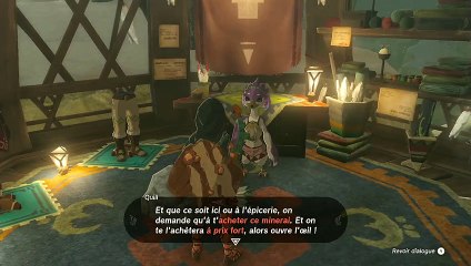 Zelda Tears of The Kingdom Film Fr #3 - Le Temple du Vent pour sauver le peuple Piaf
