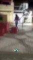 Mulher grava vídeo chutando um gato em praça de Santa Luzia (MG)