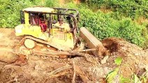 Bulldozer D6R XL Upgrades Oil Palm Plantation Road Network