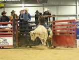 Bucking Bulls Australia National Finals