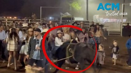 Rogue bull stormed through the middle of hundreds of people line dancing