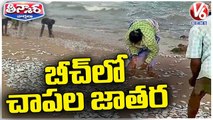 Huge Fishes Washed Ashore At Vizag Beach | AP | V6 Teenmaar