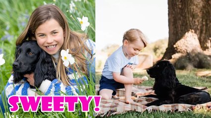 James talks about the close relationship between George,Charlotte, Louis with their dog Orla