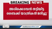 അരിക്കൊമ്പൻ തട്ടിയിട്ട ബൈക്ക് യാത്രികൻ മരിച്ചു