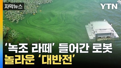 [자막뉴스] 감탄 그 자체...녹조 투성이 저수지에 로봇 투입했더니 / YTN