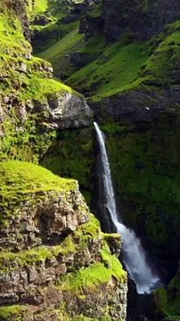 This world is a prison for the believers and a paradise for the non believers.