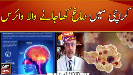 Brain-eating bug claims three lives in a week