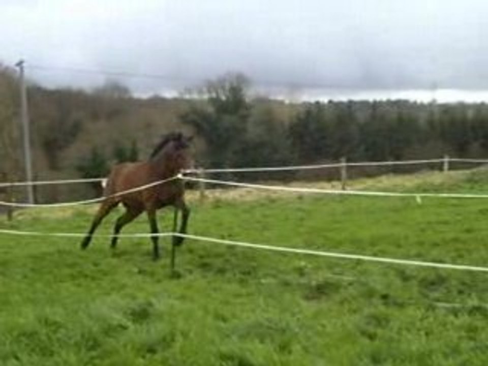 mon fronfron le 24-03-08