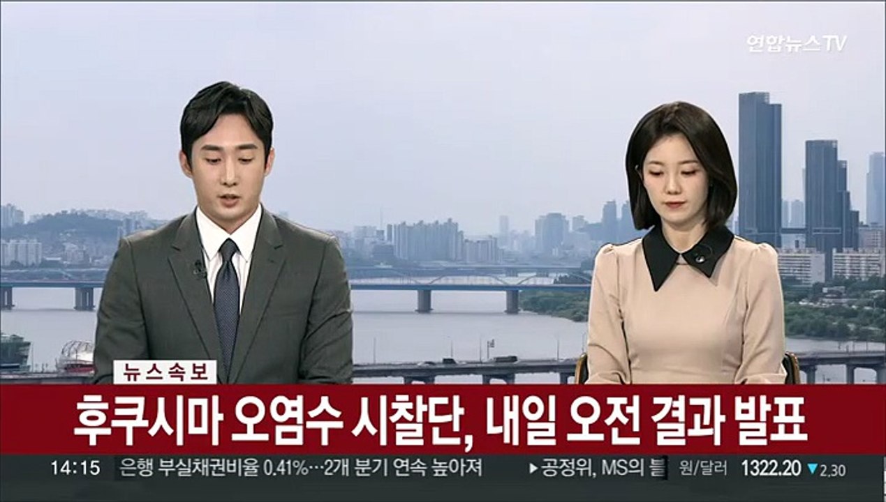 [속보] 후쿠시마 오염수 시찰단, 내일 오전 결과 발표