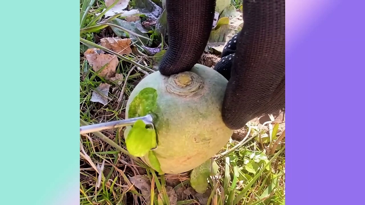 Oddly Satisfying & ASMR Video That Relaxes You Before Sleep _ All Original Satisfying Videos #31