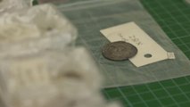 Encuentran en el norte de Dinamarca unas monedas vikingas de 1.000 años de antigüedad