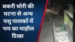 पूर्णिया: लग्जरी कार से बकरी की चोरी का वीडियो हुआ वायरल, जांच में जुटी पुलिस