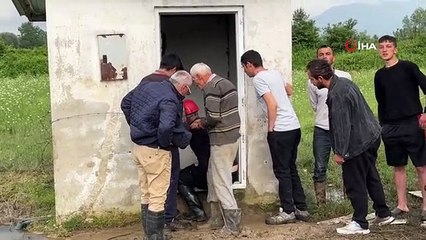 Su kuyusuna düşen ineklere kurtarma operasyonu