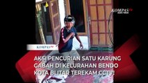 Detik-Detik Aksi Nekat Pencurian Satu Karung Gabah di Siang Bolong Terekam CCTV!