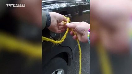 Arabaya sıkışan ayı böyle kurtarıldı