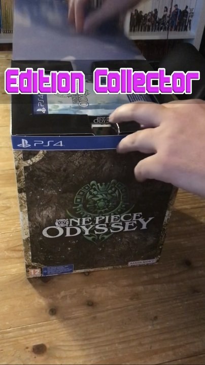 Edition collector One Piece Odyssey